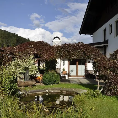 Lejlighed Haus Dittrich Kirchberg in Tirol